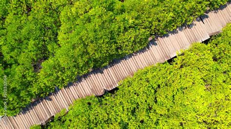 Fangchenggang Mangrove Forest Park: A Unique Ecosystem Bursting With Biodiversity!