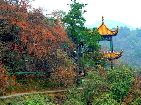 Shaoshan Scenic Area: Immerse Yourself in the Legacy of Mao Zedong and Embrace Tranquility amidst Rolling Hills!