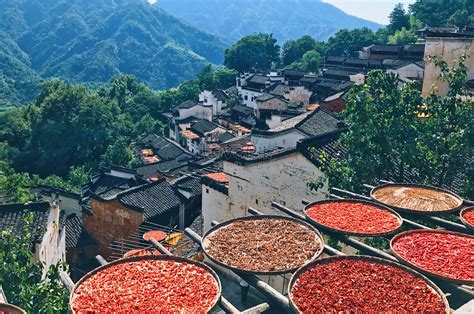 Wuyuan Scenic Area - A Serene Tapestry of History and Natural Beauty!